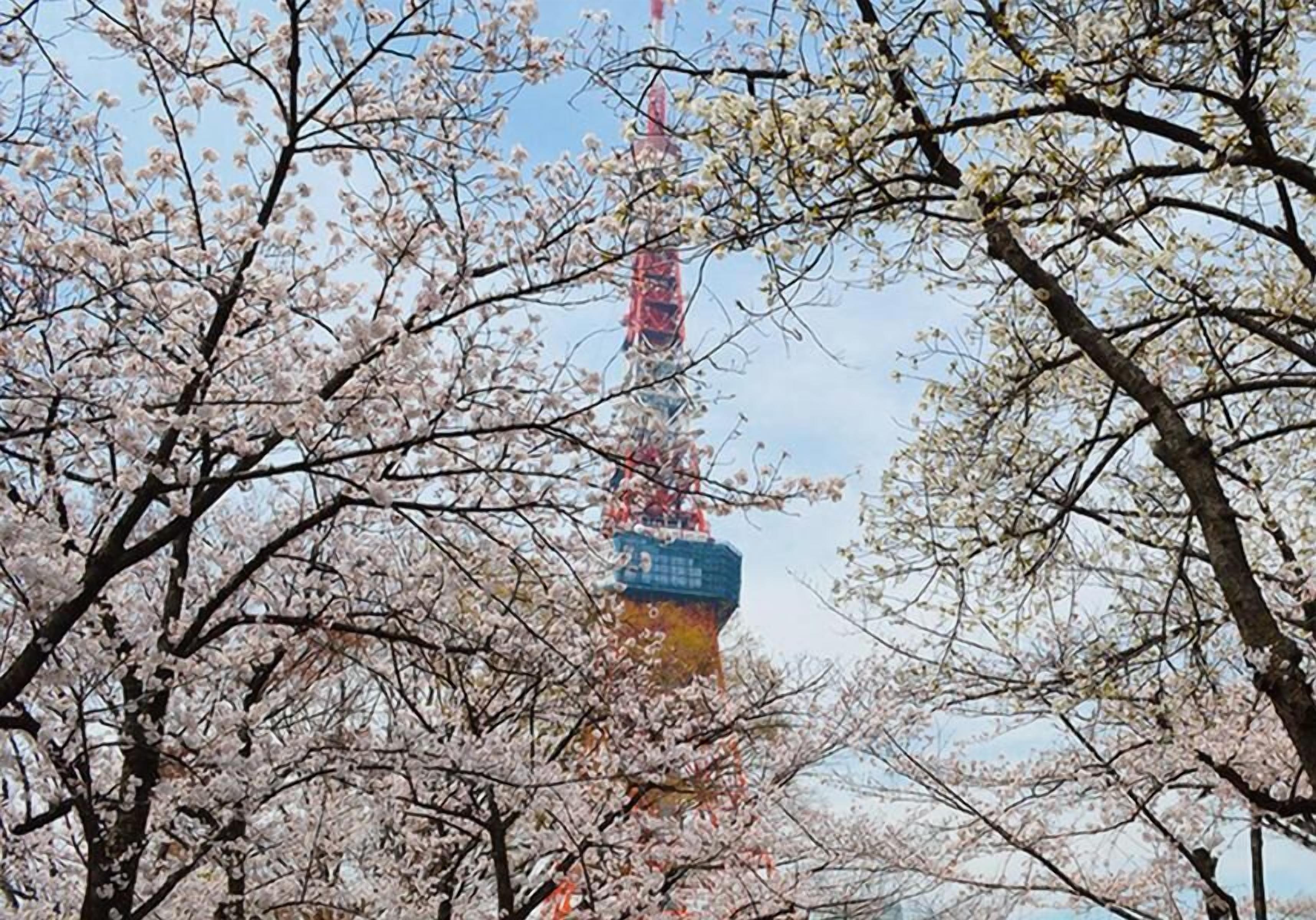 Tokyo Tower View Guest House — Photos 1